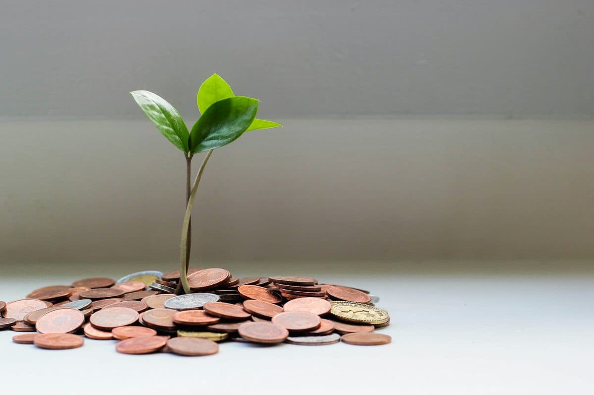 Salario Mínimo Interprofesional (SMI) 2026: ¿cuánto cobrarás este año?